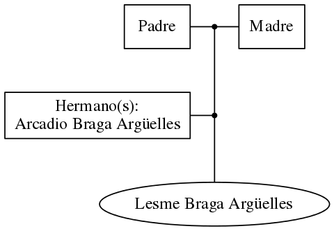 This is a graph with borders and nodes. Maybe there is an Imagemap used so the nodes may be linking to some Pages.