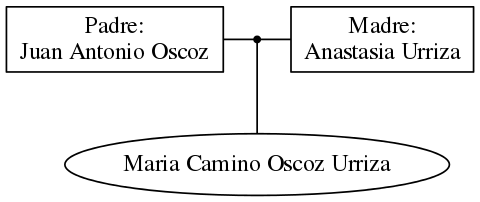 This is a graph with borders and nodes. Maybe there is an Imagemap used so the nodes may be linking to some Pages.