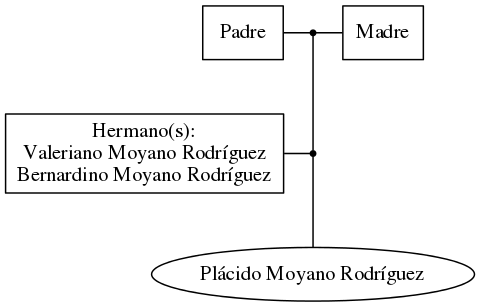 This is a graph with borders and nodes. Maybe there is an Imagemap used so the nodes may be linking to some Pages.