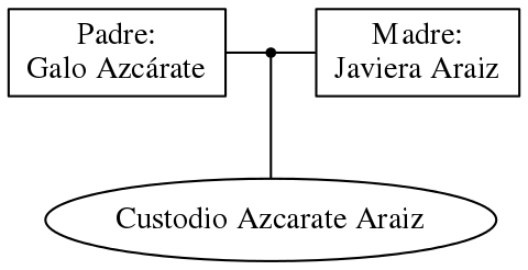 This is a graph with borders and nodes. Maybe there is an Imagemap used so the nodes may be linking to some Pages.