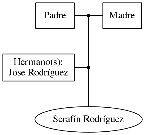 This is a graph with borders and nodes. Maybe there is an Imagemap used so the nodes may be linking to some Pages.