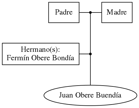 This is a graph with borders and nodes. Maybe there is an Imagemap used so the nodes may be linking to some Pages.