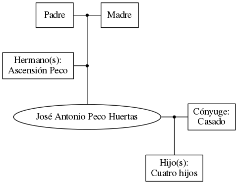 This is a graph with borders and nodes. Maybe there is an Imagemap used so the nodes may be linking to some Pages.