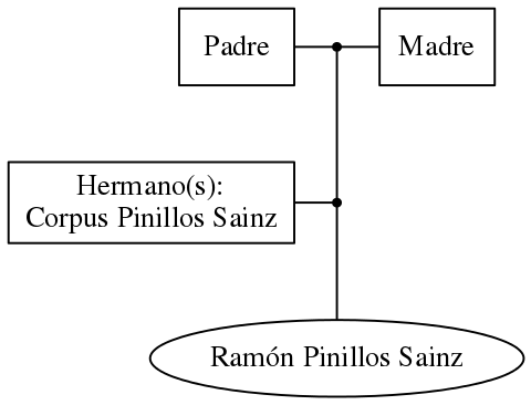 This is a graph with borders and nodes. Maybe there is an Imagemap used so the nodes may be linking to some Pages.