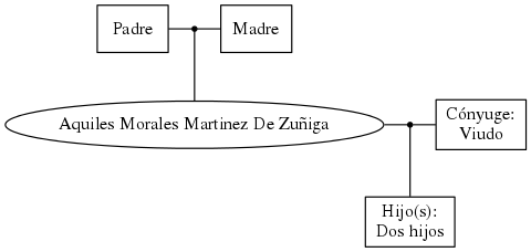 This is a graph with borders and nodes. Maybe there is an Imagemap used so the nodes may be linking to some Pages.