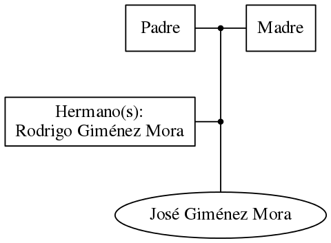 This is a graph with borders and nodes. Maybe there is an Imagemap used so the nodes may be linking to some Pages.