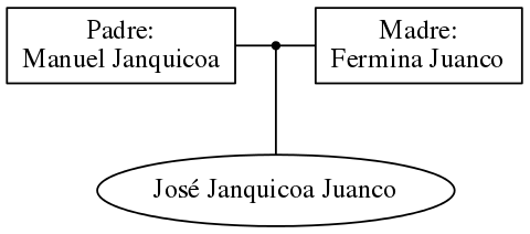 This is a graph with borders and nodes. Maybe there is an Imagemap used so the nodes may be linking to some Pages.