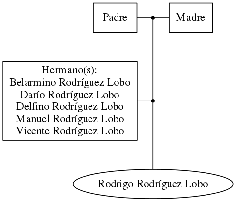 This is a graph with borders and nodes. Maybe there is an Imagemap used so the nodes may be linking to some Pages.