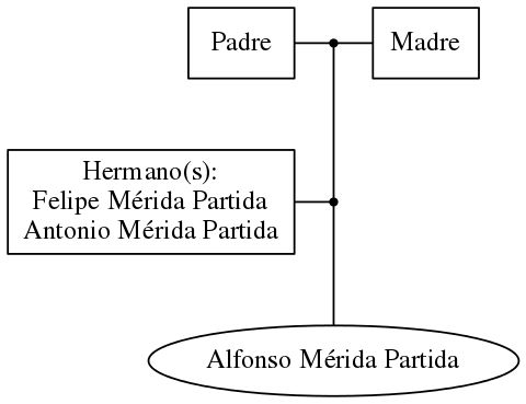 This is a graph with borders and nodes. Maybe there is an Imagemap used so the nodes may be linking to some Pages.