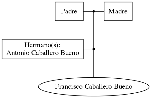 This is a graph with borders and nodes. Maybe there is an Imagemap used so the nodes may be linking to some Pages.