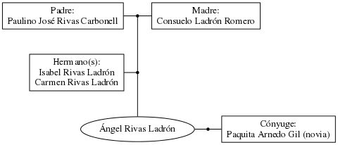 This is a graph with borders and nodes. Maybe there is an Imagemap used so the nodes may be linking to some Pages.