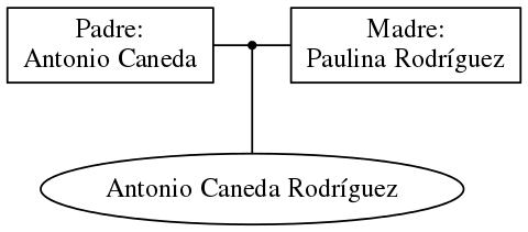 This is a graph with borders and nodes. Maybe there is an Imagemap used so the nodes may be linking to some Pages.