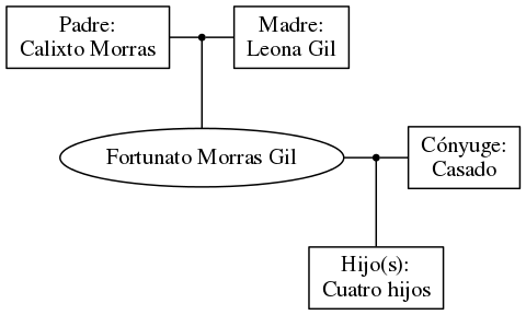 This is a graph with borders and nodes. Maybe there is an Imagemap used so the nodes may be linking to some Pages.