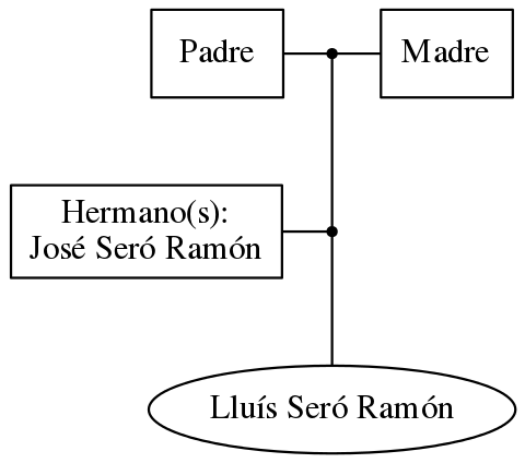 This is a graph with borders and nodes. Maybe there is an Imagemap used so the nodes may be linking to some Pages.