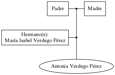 This is a graph with borders and nodes. Maybe there is an Imagemap used so the nodes may be linking to some Pages.