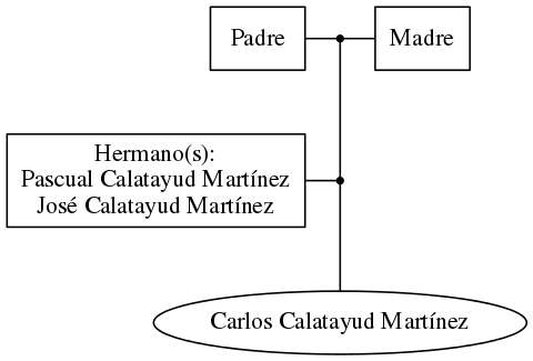 This is a graph with borders and nodes. Maybe there is an Imagemap used so the nodes may be linking to some Pages.