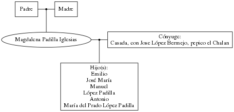 This is a graph with borders and nodes. Maybe there is an Imagemap used so the nodes may be linking to some Pages.