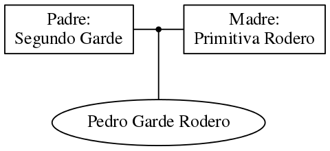 This is a graph with borders and nodes. Maybe there is an Imagemap used so the nodes may be linking to some Pages.