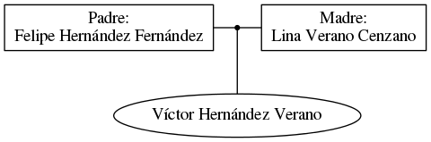 This is a graph with borders and nodes. Maybe there is an Imagemap used so the nodes may be linking to some Pages.