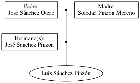 This is a graph with borders and nodes. Maybe there is an Imagemap used so the nodes may be linking to some Pages.