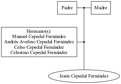 This is a graph with borders and nodes. Maybe there is an Imagemap used so the nodes may be linking to some Pages.