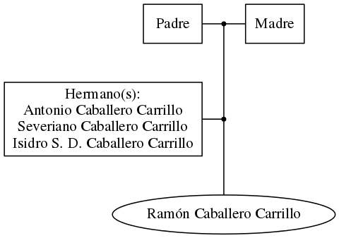 This is a graph with borders and nodes. Maybe there is an Imagemap used so the nodes may be linking to some Pages.