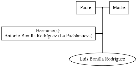 This is a graph with borders and nodes. Maybe there is an Imagemap used so the nodes may be linking to some Pages.