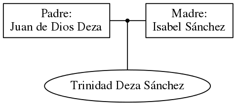 This is a graph with borders and nodes. Maybe there is an Imagemap used so the nodes may be linking to some Pages.