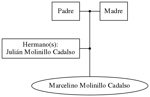 This is a graph with borders and nodes. Maybe there is an Imagemap used so the nodes may be linking to some Pages.