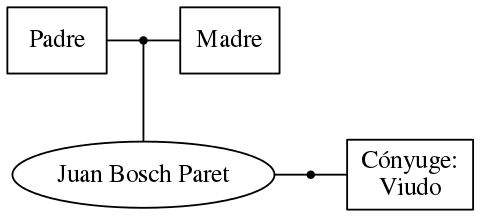 This is a graph with borders and nodes. Maybe there is an Imagemap used so the nodes may be linking to some Pages.