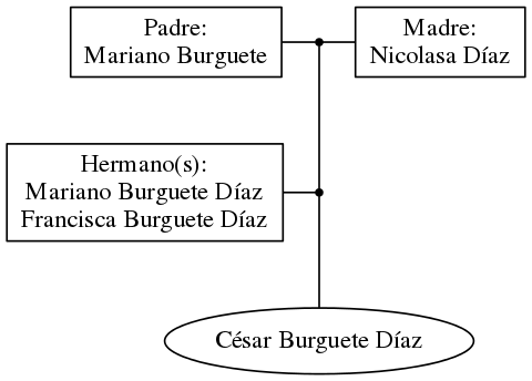 This is a graph with borders and nodes. Maybe there is an Imagemap used so the nodes may be linking to some Pages.