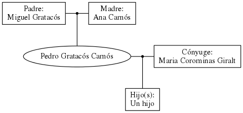 This is a graph with borders and nodes. Maybe there is an Imagemap used so the nodes may be linking to some Pages.