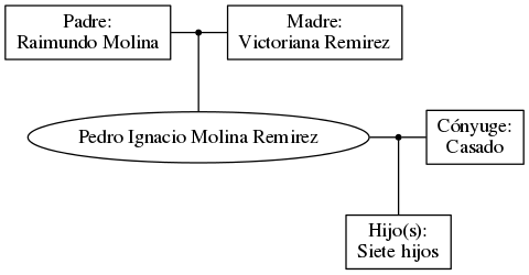 This is a graph with borders and nodes. Maybe there is an Imagemap used so the nodes may be linking to some Pages.