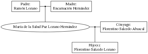 This is a graph with borders and nodes. Maybe there is an Imagemap used so the nodes may be linking to some Pages.