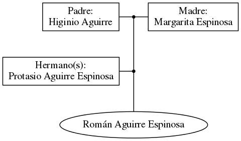 This is a graph with borders and nodes. Maybe there is an Imagemap used so the nodes may be linking to some Pages.