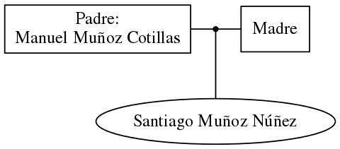 This is a graph with borders and nodes. Maybe there is an Imagemap used so the nodes may be linking to some Pages.