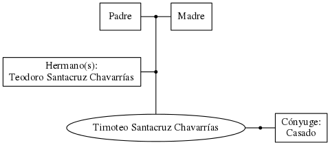 This is a graph with borders and nodes. Maybe there is an Imagemap used so the nodes may be linking to some Pages.