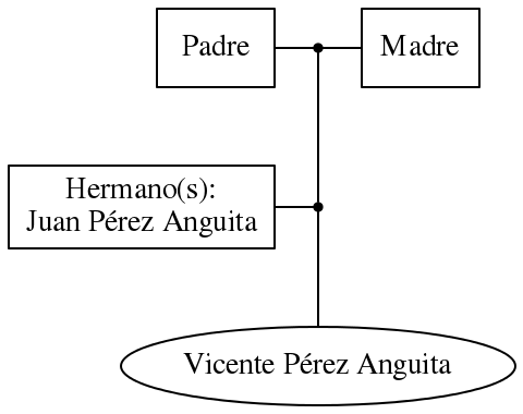 This is a graph with borders and nodes. Maybe there is an Imagemap used so the nodes may be linking to some Pages.