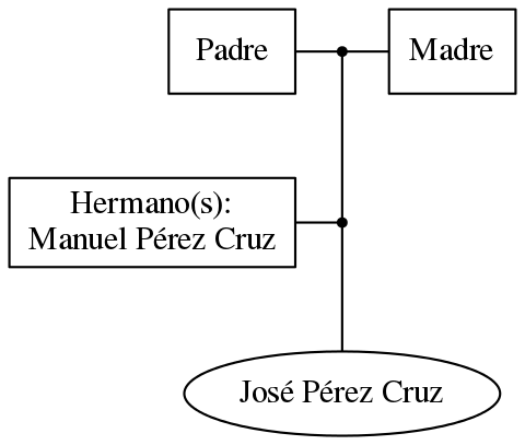 This is a graph with borders and nodes. Maybe there is an Imagemap used so the nodes may be linking to some Pages.