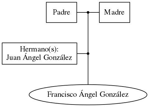 This is a graph with borders and nodes. Maybe there is an Imagemap used so the nodes may be linking to some Pages.