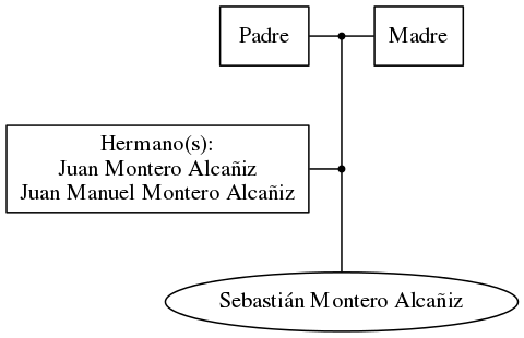 This is a graph with borders and nodes. Maybe there is an Imagemap used so the nodes may be linking to some Pages.