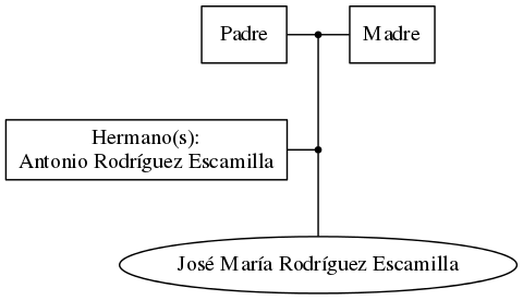 This is a graph with borders and nodes. Maybe there is an Imagemap used so the nodes may be linking to some Pages.