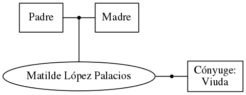 This is a graph with borders and nodes. Maybe there is an Imagemap used so the nodes may be linking to some Pages.