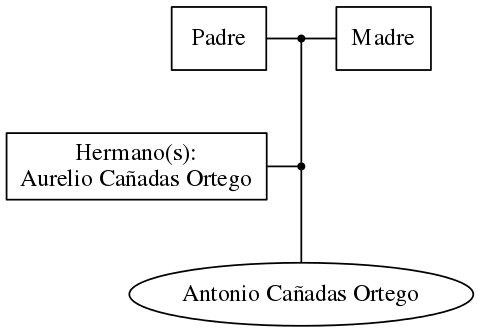 This is a graph with borders and nodes. Maybe there is an Imagemap used so the nodes may be linking to some Pages.