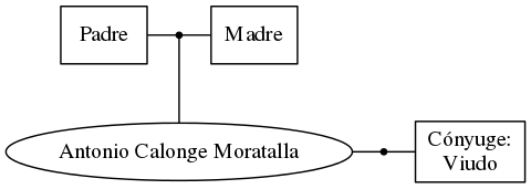 This is a graph with borders and nodes. Maybe there is an Imagemap used so the nodes may be linking to some Pages.