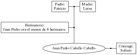 This is a graph with borders and nodes. Maybe there is an Imagemap used so the nodes may be linking to some Pages.