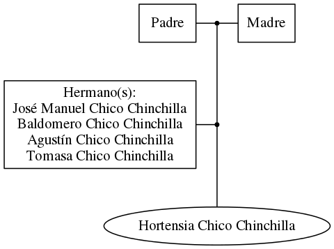 This is a graph with borders and nodes. Maybe there is an Imagemap used so the nodes may be linking to some Pages.