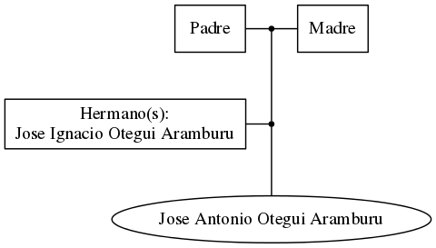 This is a graph with borders and nodes. Maybe there is an Imagemap used so the nodes may be linking to some Pages.