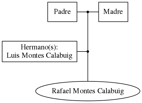 This is a graph with borders and nodes. Maybe there is an Imagemap used so the nodes may be linking to some Pages.