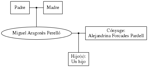 This is a graph with borders and nodes. Maybe there is an Imagemap used so the nodes may be linking to some Pages.